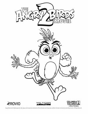 Раскраска Angry Birds 2 в кино Сильвер птица с косичками