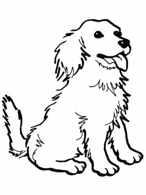 Раскраски собак, Раскраска Собака Домашние животные