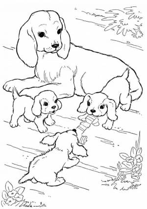 Раскраски Собаки и щенки