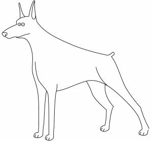 Собака доберман рисунок