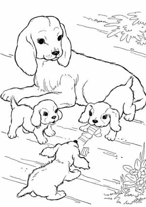 Раскраска Собачья семья
