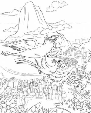 Раскраски Раскраска Персонажи из мультфильма рио рио