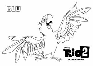 Раскраска попугай из Рио 2