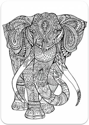 Mandala coloring pages, Animal coloring pages, Free printable coloring pages