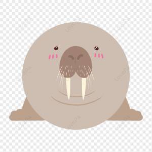 Морж круглый изображение_Фото номер 401252100_PSD Формат изображения_ru