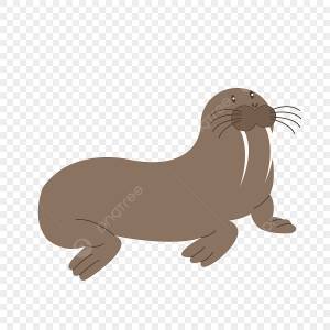 морж вода животное вектор икона   PNG , морж клипарт, морж вода животных вектор, вода PNG картинки и пнг рисунок для й загрузки