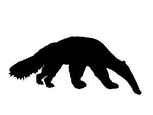 Трафареты Муравьеда