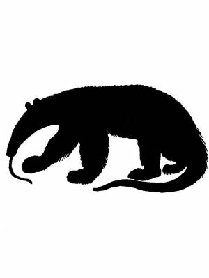 Трафареты Муравьеда