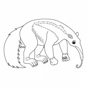 Гигантский муравьед животное изолированная страница раскраски