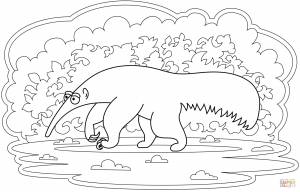 Раскраска Муравьед