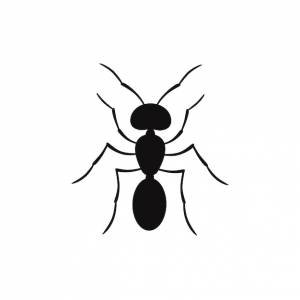 Силуэт муравья, вид сверху, шаблон логотипа муравья, векторная иллюстрация символа насекомого
