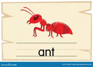Шаблон Wordcard для муравья слова Иллюстрация вектора
