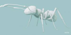 Скульптинг красного муравья в Blender