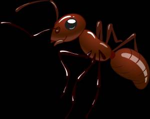 Муравей трафарет