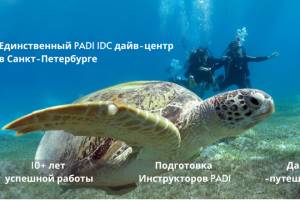 Создание уникальных, цепляющих изображений для групп и постов за 500 руб