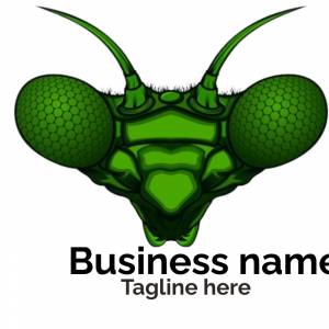 Шаблон с логотипом поискового муравья