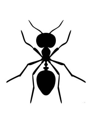 Трафареты Муравья