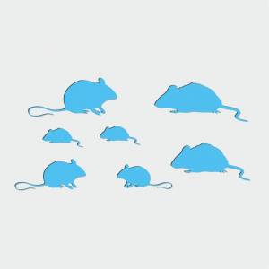 Трафарет Мыши