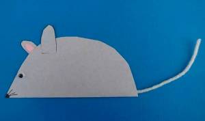 Аппликация мыши