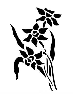 Трафареты Нарцисса