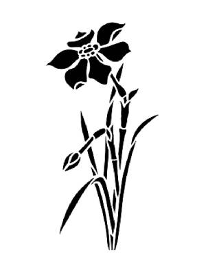 Трафареты Нарцисса