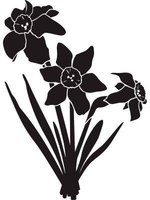 Трафареты Нарцисса