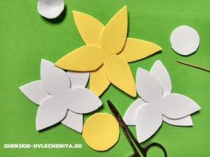 Яркие нарциссы из фоамирана для декора заколки в пошаговом мастер-классе