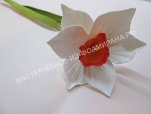 Выкройки для нарцисса из фоамирана