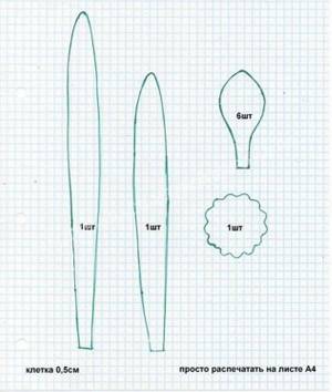 Выкройки для нарцисса из фоамирана