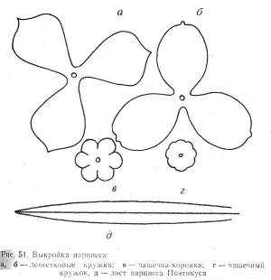 Раскраски аппликация, Раскраска аппликация нарцис цветы
