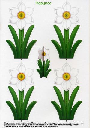 DataLife Engine > Версия для печати > Трафарет цветок нарцисс