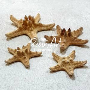 Морская звезда Джангл 3