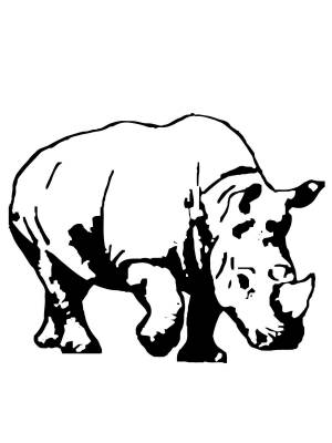 Трафареты Носорога