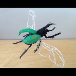 Жук-носорог