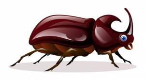Симпатичная иллюстрация жука-носорога на белом фоне