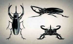 Жук носорог фон, 500 картинки Фото и HD рисунок для й загрузки