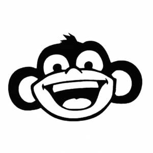 Silly Monkey