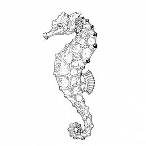 Морской конек