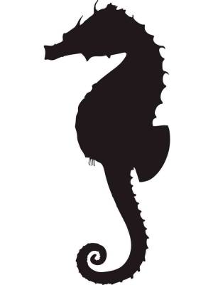Трафареты Морского Конька