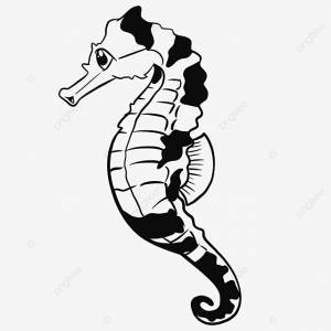 рисунок морской конек вектор PNG , рисунок лошади, морской рисунок, рисунок морского конька PNG картинки и пнг рисунок для й загрузки