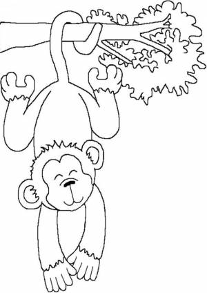 Free amp; Easy To Print Monkey Coloring Pages