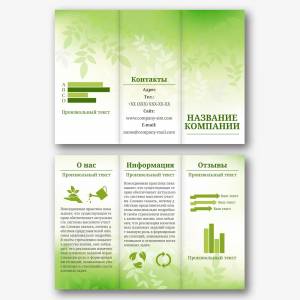 Шаблон буклета авиакомпании