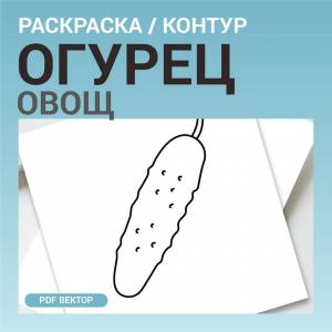Огурец овощ