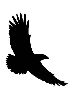 Трафареты Орла