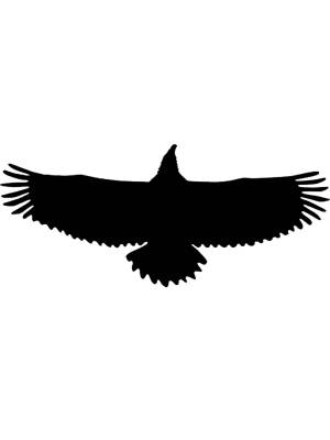 Трафареты Орла