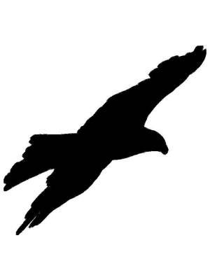 Трафареты Орла