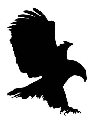 Трафареты Орла