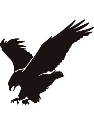 Трафареты Орла