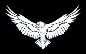 Трафарет беркут