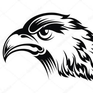 DataLife Engine > Версия для печати > Трафарет беркут